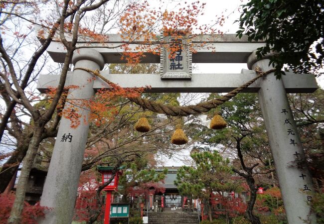 疋野神社