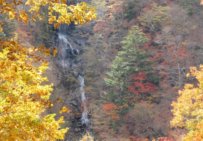 今回は「めん処 蛇王の滝」の滝見台から眺めました