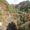 吊り橋から見るダムと峡谷の紅葉は素晴らしいけど、体力と根性も必要です