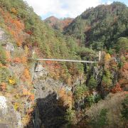 吊り橋から見るダムと峡谷の紅葉は素晴らしいけど、体力と根性も必要です