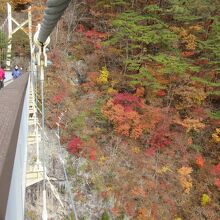 吊り橋から見える紅葉の素晴らしさ