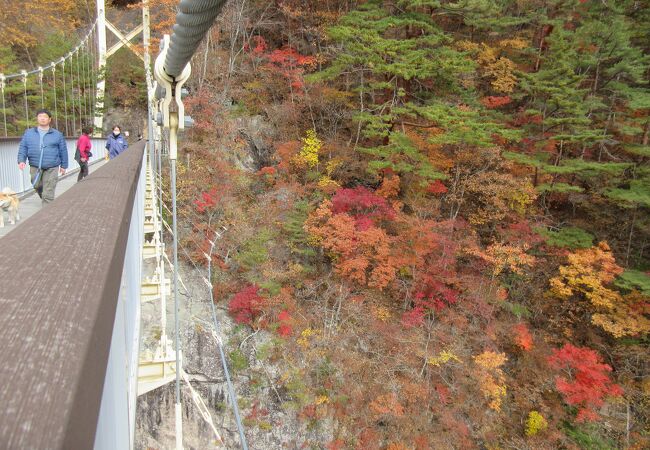 念願の紅葉を見に行けました