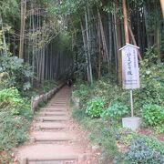 雰囲気漂う竹林の道なのよ