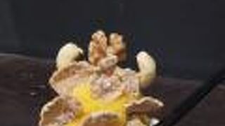 ファーイーストバザール 東急二子玉川店