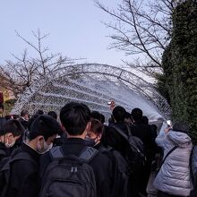 光のトンネル点灯前の様子