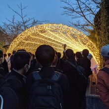 光のトンネル点灯直後の様子