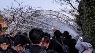 今年初めてのイネミネーション綺麗でした