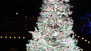 点灯式に行きました。