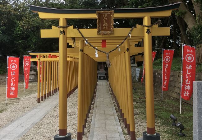 珍しい「ほしいも神社」と「ほしいも自動販売機」があります