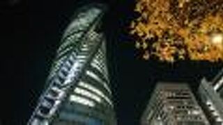 夜は、窓から漏れる灯りが綺麗