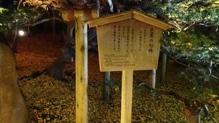 立派な句碑です。