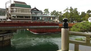 清々しい松並木を歩く