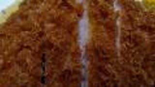 塩で頂く本格派