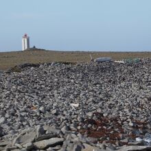 灯台周辺は荒野