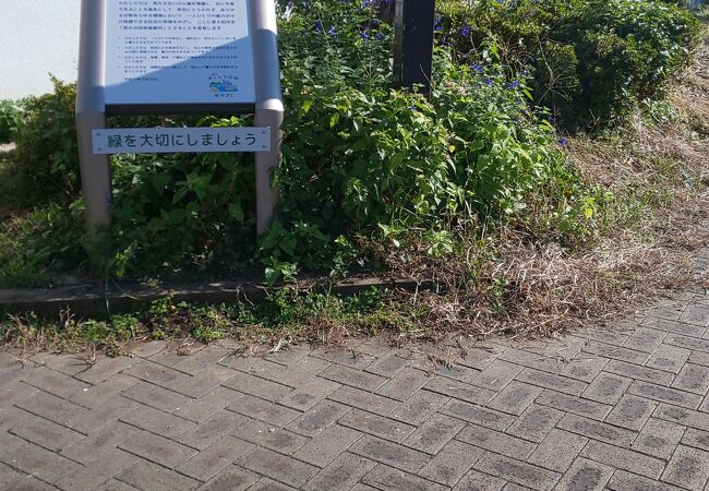 狭山 境緑道 クチコミ アクセス 営業時間 小平 西東京 フォートラベル