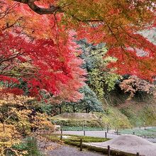 後庭園の紅葉