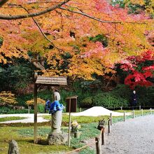 後庭園の紅葉を眺める地蔵様