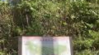 八重桜の公園です