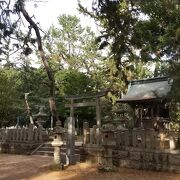 ひっそりとした場所にある神社