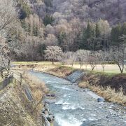 落ち着く景色を堪能