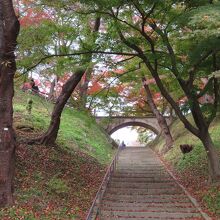 公園内