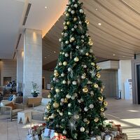 ロビーのツリー