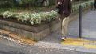 早稲田大学卒。新宿にゆかりがあります。