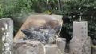 休日は人だかり