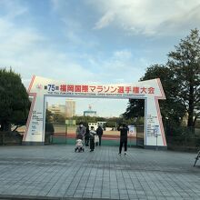 福岡マラソンのゴールとスタート