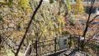 遊歩道が設置されています