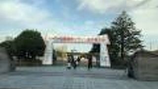 福岡国際マラソンのスタートとゴール