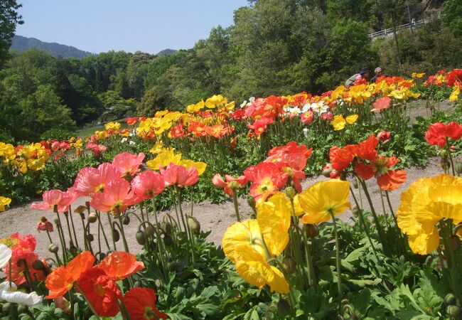 植物園