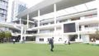 人工芝の広場が気持ちいい