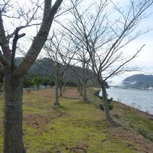 川辺の散歩道には最高！