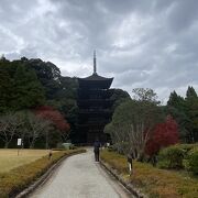 国宝瑠璃光寺五重塔♪