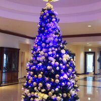 正面玄関のクリスマスツリー