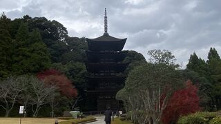 国宝瑠璃光寺五重塔♪