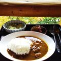 鹿カレーで有名になりました。