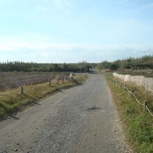 道路から海の方を見た景色