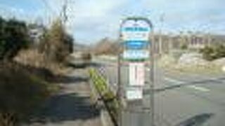 12月の房総フラワーラインに花はナシ