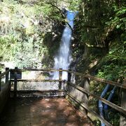 伊豆の踊子歩道で七滝を上から下りました。
