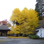 縁者が眠る、広徳寺の佇まいは好ましい。しかも山門を彩る、黄金色に色づく2本の大銀杏が見事だ。