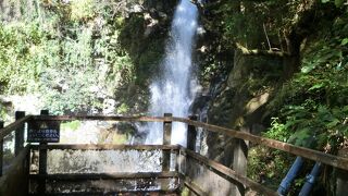 伊豆の踊子歩道で七滝を上から下りました。