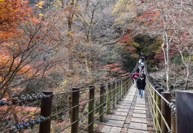 花貫渓谷 紅葉まつり クチコミ アクセス 営業時間 高萩 フォートラベル