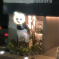 シップスキャット