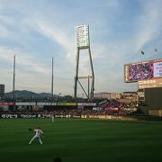 マツダスタジアム