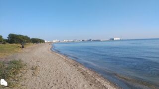 東京湾最奥部に残された干潟
