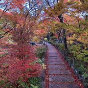 紅葉最高！