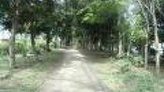 空きスペースができたから公園にしましたって感じ