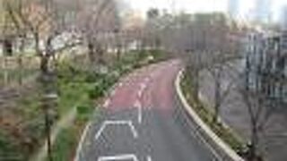 楽しみは桜だけではありません